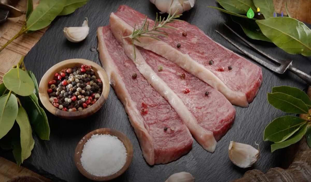 Combustível e Alimento para o Mundo #1