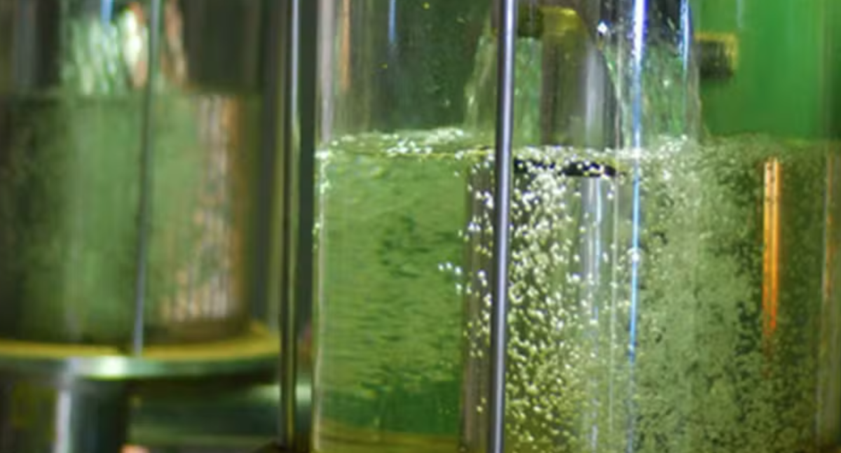 Globo Rural: Biocombustíveis devem ter aporte de R$ 106 bilhões até 2035