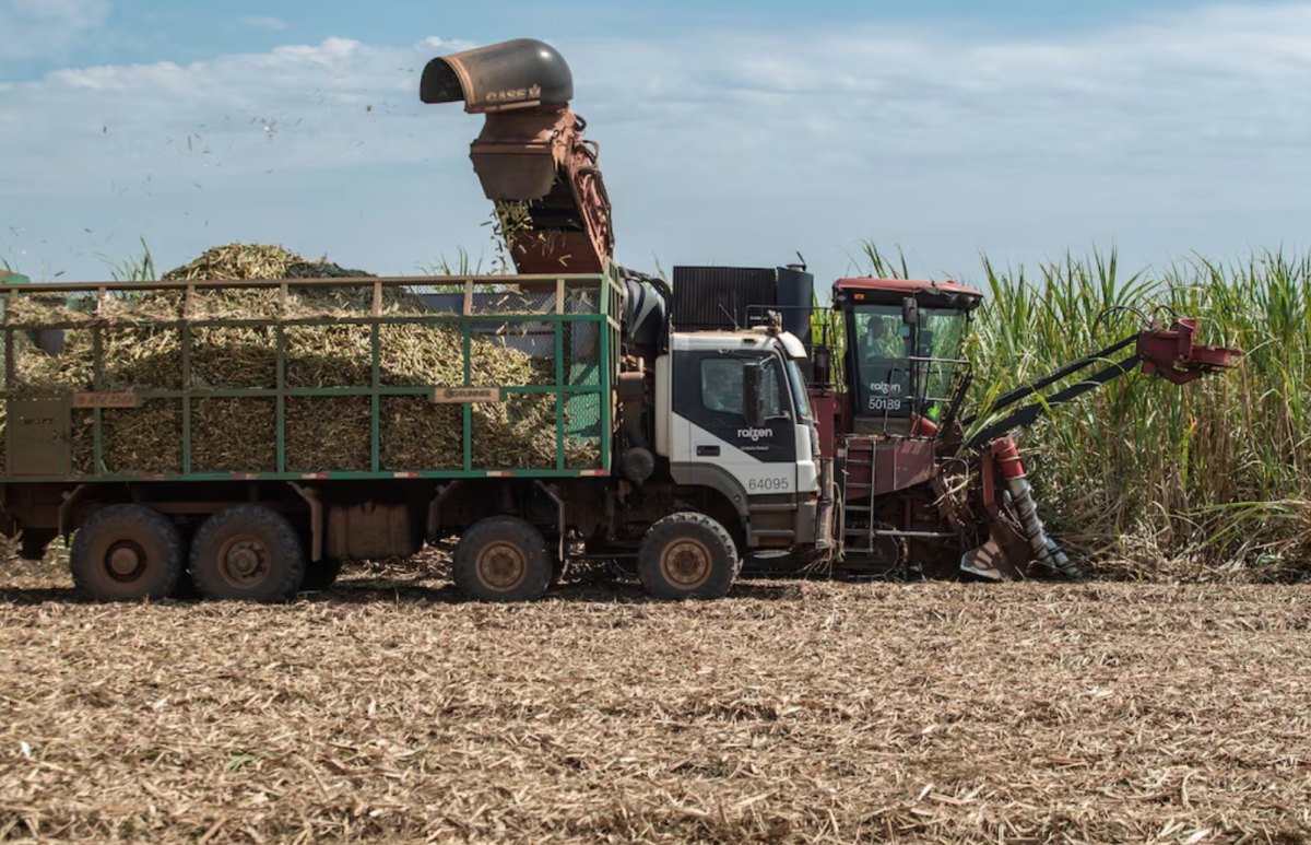 The Economist: O Brasil tem uma arma secreta contra choques petrolíferos